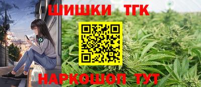 ешки Новодвинск