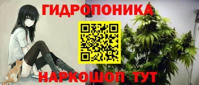 ГАЛЛЮЦИНОГЕННЫЕ ГРИБЫ Новозыбков