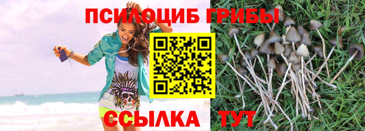 Галлюциногенные грибы MAGIC MUSHROOMS Азнакаево